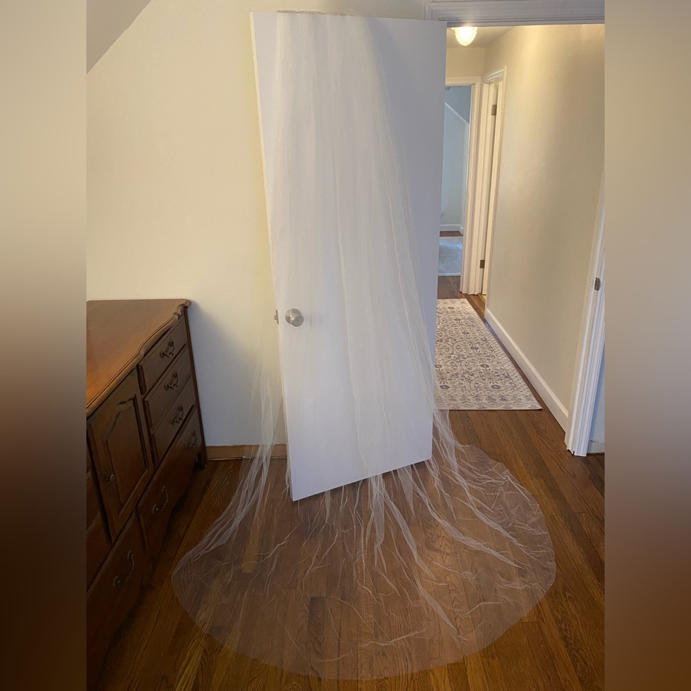 Light Ivory Cathedral Length Wedding Veil